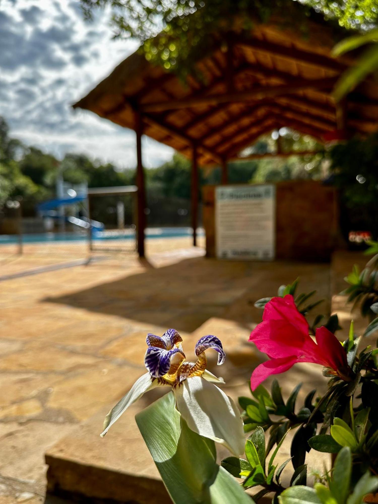 Hohenau Parque Hotel Manantial מראה חיצוני תמונה