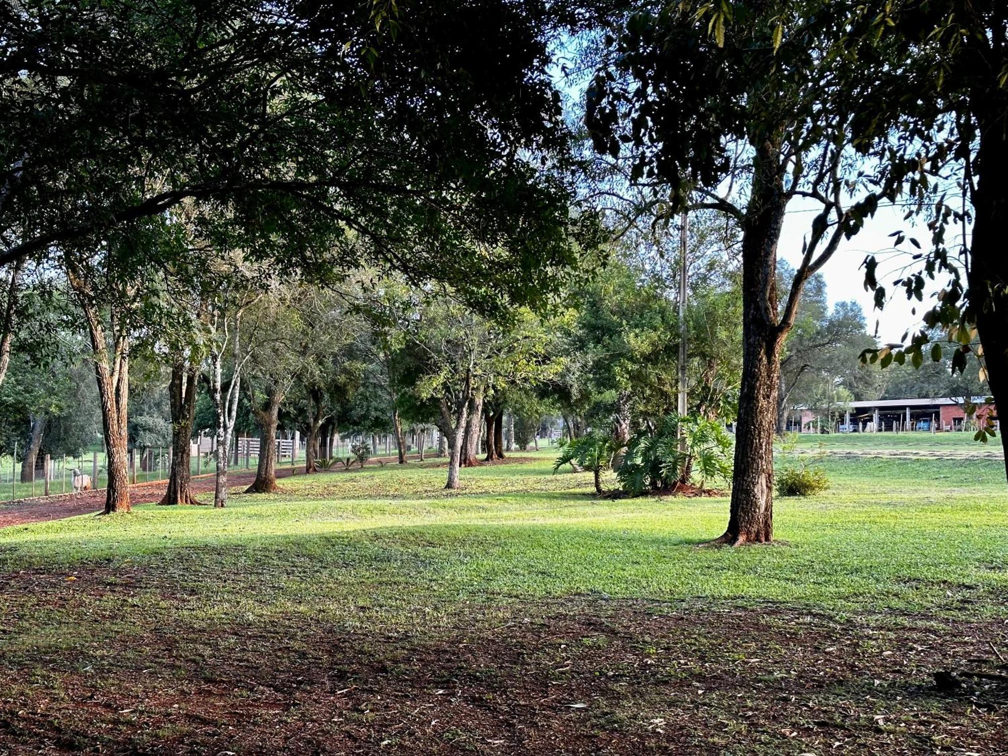 Hohenau Parque Hotel Manantial מראה חיצוני תמונה