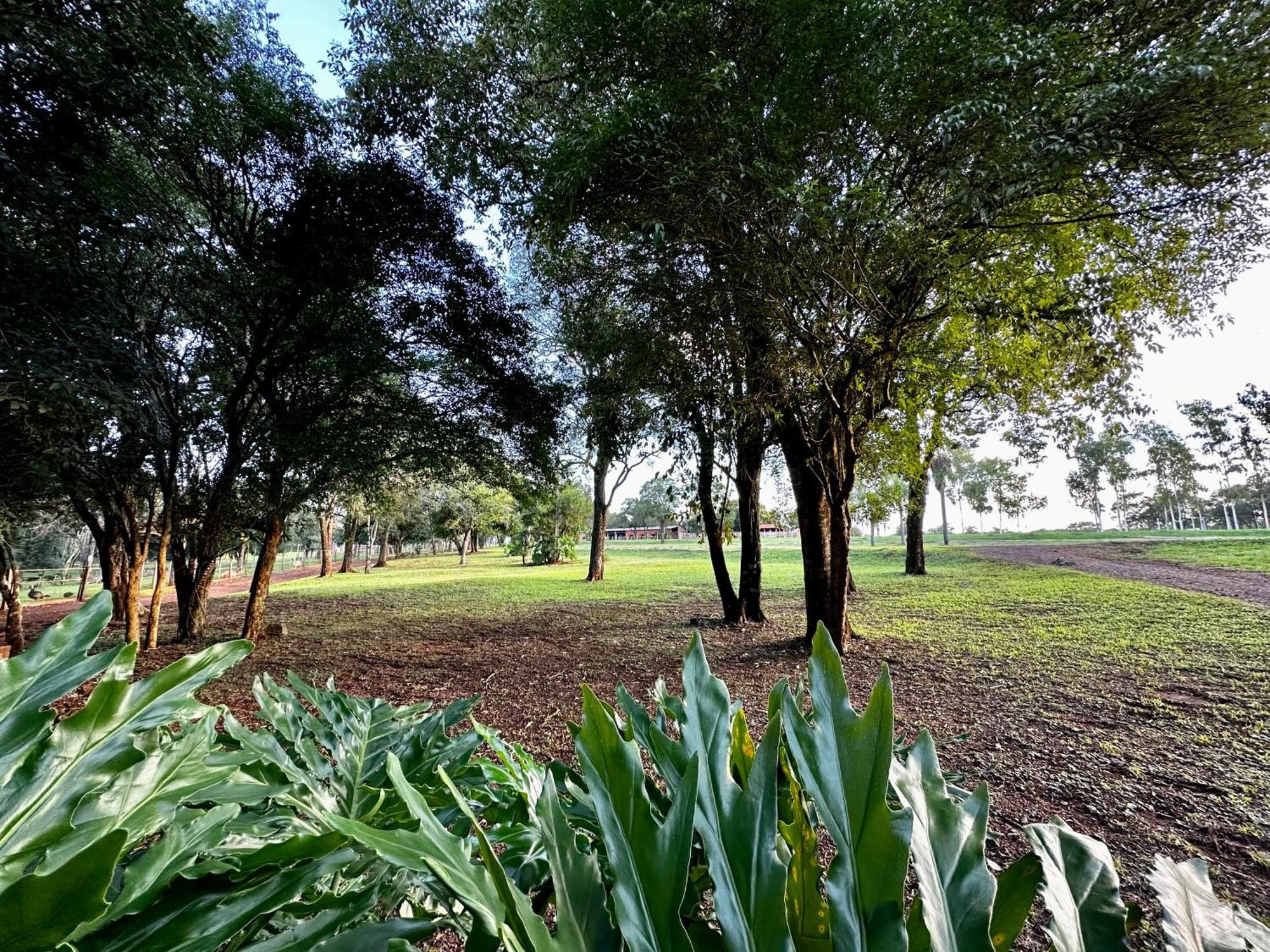 Hohenau Parque Hotel Manantial מראה חיצוני תמונה